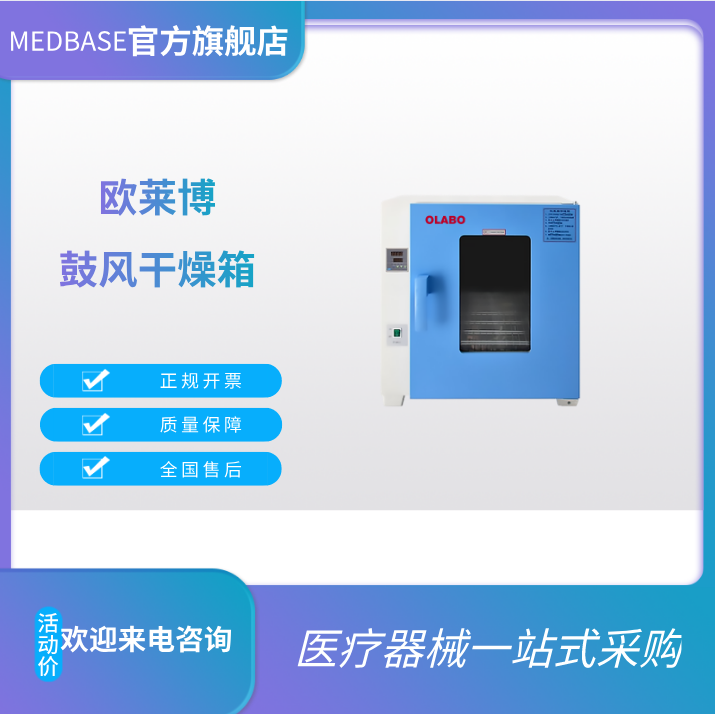 电热鼓风干燥箱DHG-9070A