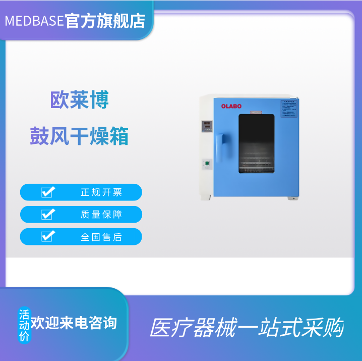 欧莱博鼓风干燥箱DHG-9050A