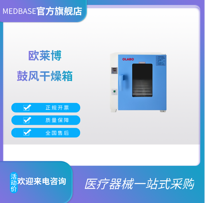 欧莱博DHG-9250A电热鼓风干燥箱