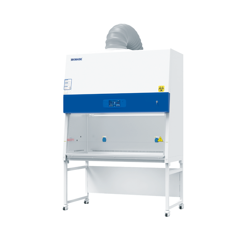 http___img1.alaibao.cn_pimages_Product_800800_202407_a247e21a33274e13a6e8bce724fb4c69.png http___img1.alaibao.cn_pimages_Product_800800_202407_a247e21a33274e13a6e8bce724fb4c69.png